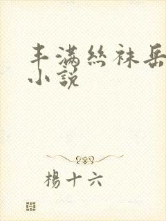 丰满丝袜岳肉欲小说