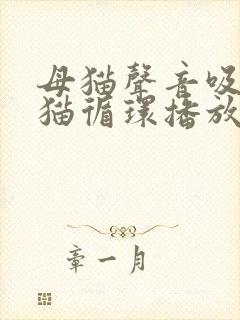 母猫声音吸引小猫循环播放