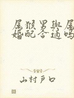 属猴男与属牛女婚配合适吗