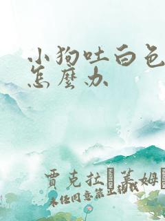 小狗吐白色粘液怎么办