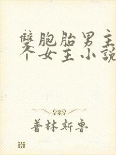 双胞胎男主和一个女主小说