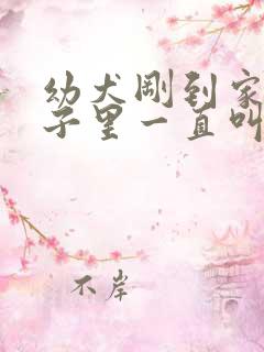 幼犬刚到家在笼子里一直叫怎么办