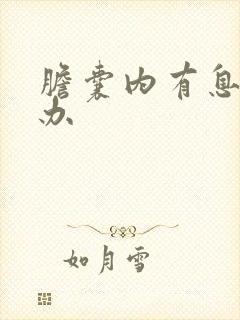 胆囊内有息肉咋办