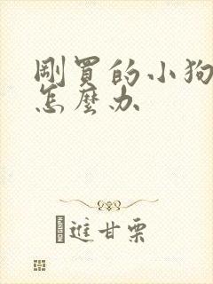 刚买的小狗拉稀怎么办