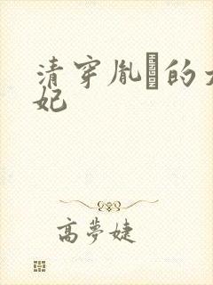 清穿胤礽的太子妃