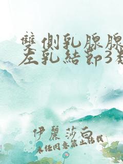 双侧乳腺腺病伴左乳结节3类