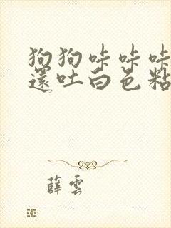 狗狗咔咔咔的咳还吐白色粘液