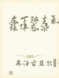 左下肺支气管扩张伴感染