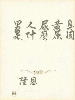 男人尿黄臭味大是什么原因