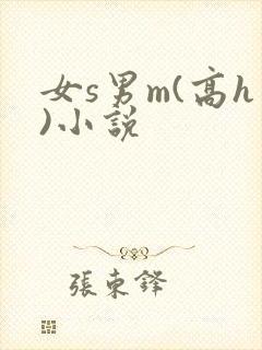 女s男m(高h)小说