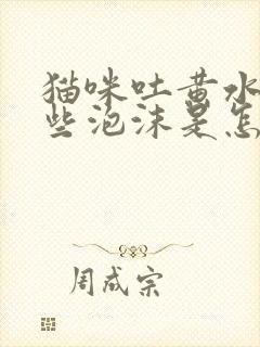 猫咪吐黄水有一些泡沫是怎么回事