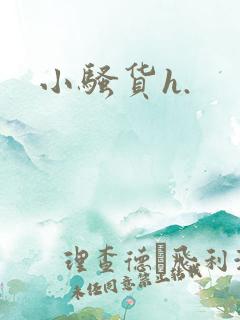 小骚货h.
