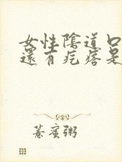 女性阴道口痒痒还有疙瘩是怎么回事