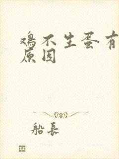 鸡不生蛋有哪些原因