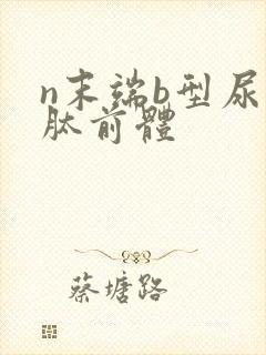 n末端b型尿纳肽前体