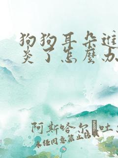 狗狗耳朵进水发炎了怎么办