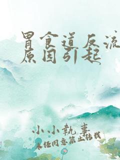 胃食道反流什么原因引起