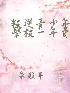 叛逆青少年教育学校一年费用