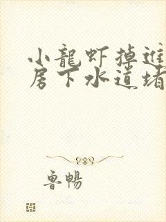 小龙虾掉进了厨房下水道堵了怎么办