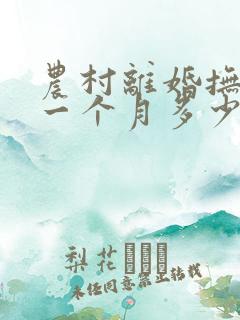 农村离婚抚养费一个月多少钱