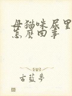 母猫咪尿里有血怎么回事