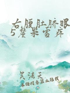 右腹肚脐眼右侧5厘米处疼