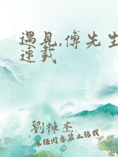 遇见,傅先生 连载