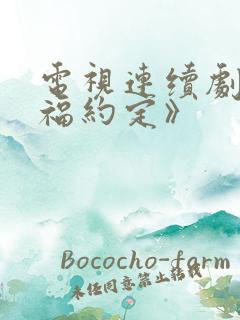 电视连续剧《幸福约定》