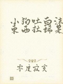 小狗吐白沫不吃东西拉稀是怎么回事