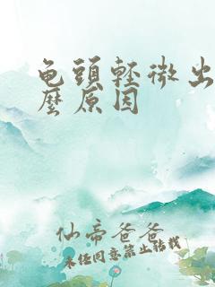 龟头轻微出血什么原因