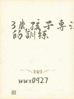 3岁孩子专注力的训练