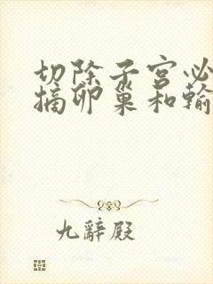 切除子宫必须要摘卵巢和输卵管吗