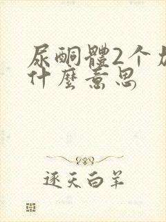 尿酮体2个加号什么意思