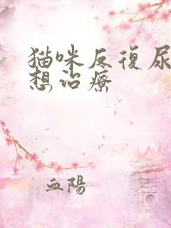 猫咪反复尿闭不想治疗