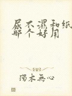 尿不湿和纸尿裤哪个好用