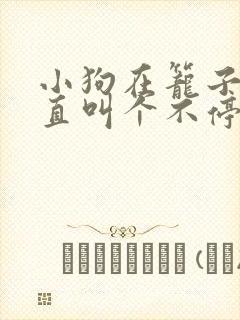 小狗在笼子里一直叫个不停怎么办