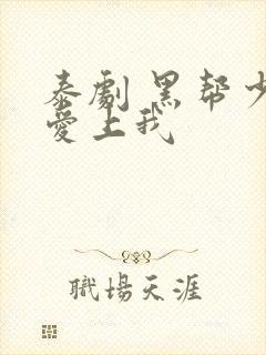 泰剧 黑帮少爷爱上我