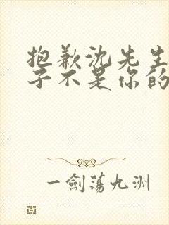 抱歉沈先生,孩子不是你的完整短剧