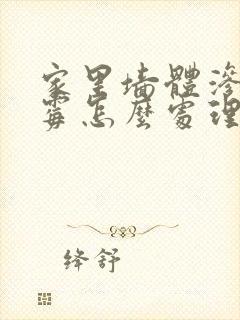 家里墙体渗水发霉怎么处理