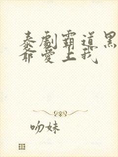 泰剧霸道黑帮少爷爱上我