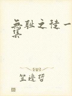 无耻之徒一共几集