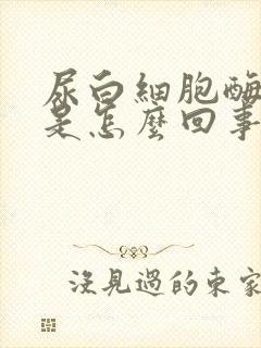 尿白细胞酶阳性是怎么回事