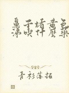 鼻子堵黄色浓鼻涕吃什么药