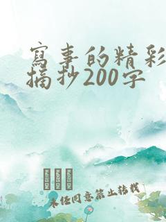 写事的精彩片段摘抄200字