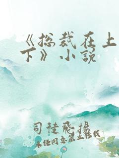 《总裁在上我在下》小说