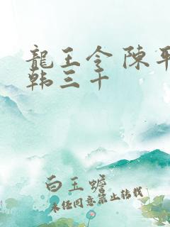 龙王令 陈平 韩三千