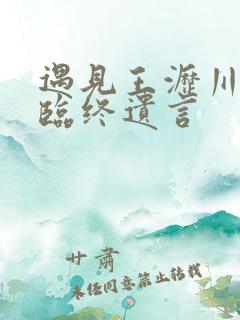 遇见王沥川小秋临终遗言