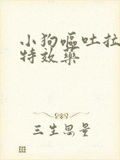 小狗呕吐拉血便特效药