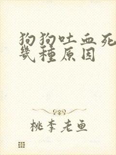 狗狗吐血死亡有几种原因