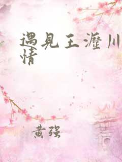 遇见王沥川 剧情